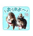 ウブキラ（個別スタンプ：1）