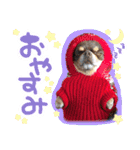 ウブキラ（個別スタンプ：3）