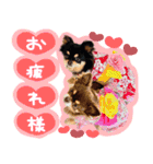 ウブキラ（個別スタンプ：4）