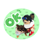 ウブキラ（個別スタンプ：6）