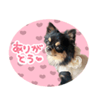 ウブキラ（個別スタンプ：9）