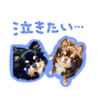 ウブキラ（個別スタンプ：10）