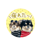 ウブキラ（個別スタンプ：11）