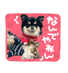 ウブキラ（個別スタンプ：12）