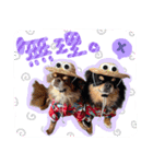ウブキラ（個別スタンプ：14）