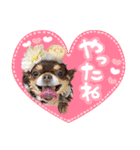 ウブキラ（個別スタンプ：15）