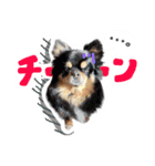 ウブキラ（個別スタンプ：16）