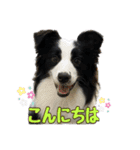 Best Treasure family 2（個別スタンプ：1）