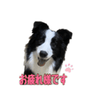 Best Treasure family 2（個別スタンプ：3）