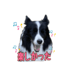 Best Treasure family 2（個別スタンプ：6）