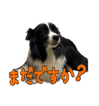 Best Treasure family 2（個別スタンプ：9）
