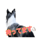 Best Treasure family 2（個別スタンプ：10）