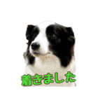 Best Treasure family 2（個別スタンプ：13）
