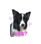 Best Treasure family 2（個別スタンプ：19）