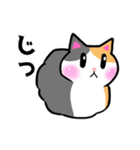 みけねこにゃん達（個別スタンプ：11）