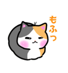 みけねこにゃん達（個別スタンプ：12）