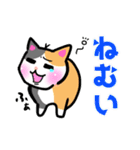 みけねこにゃん達（個別スタンプ：14）