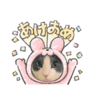 りん ねこ（個別スタンプ：1）