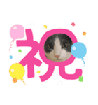 りん ねこ（個別スタンプ：19）