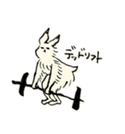 鳥獣戯画うさぎ-筋肉-（個別スタンプ：11）