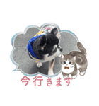 レオレオ〜（個別スタンプ：30）