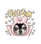 レオレオ様♡（個別スタンプ：16）