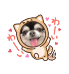 レオレオ様♡（個別スタンプ：19）