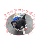 レオレオ様♡（個別スタンプ：26）