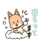 犬！の冬用スタンプ（個別スタンプ：3）