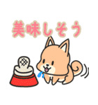 犬！の冬用スタンプ（個別スタンプ：34）