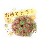 わたしの癒し♡多肉植物たち②（個別スタンプ：8）