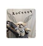 むーたんらーたんスタンプ（個別スタンプ：28）