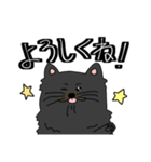 ひげのごんぞう（個別スタンプ：13）
