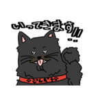 ひげのごんぞう（個別スタンプ：27）
