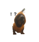 うークン（個別スタンプ：1）