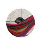 うークン（個別スタンプ：7）