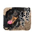 うークン（個別スタンプ：11）
