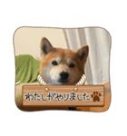 うークン（個別スタンプ：15）