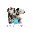 被り物シリーズ(卵姉妹)（個別スタンプ：2）