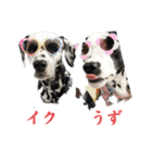 被り物シリーズ(卵姉妹)（個別スタンプ：3）
