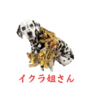 被り物シリーズ(卵姉妹)（個別スタンプ：4）