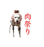 被り物シリーズ(卵姉妹)（個別スタンプ：17）