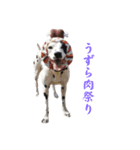 被り物シリーズ(卵姉妹)（個別スタンプ：20）