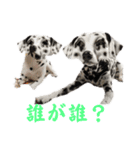被り物シリーズ(卵姉妹)（個別スタンプ：23）