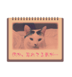 うちの子たちです♡（個別スタンプ：1）