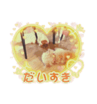 うちの子たちです♡（個別スタンプ：4）