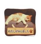 うちの子たちです♡（個別スタンプ：8）