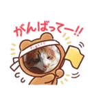 うちの子たちです♡（個別スタンプ：9）