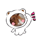 うちの子たちです♡（個別スタンプ：10）