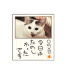うちの子たちです♡（個別スタンプ：15）
